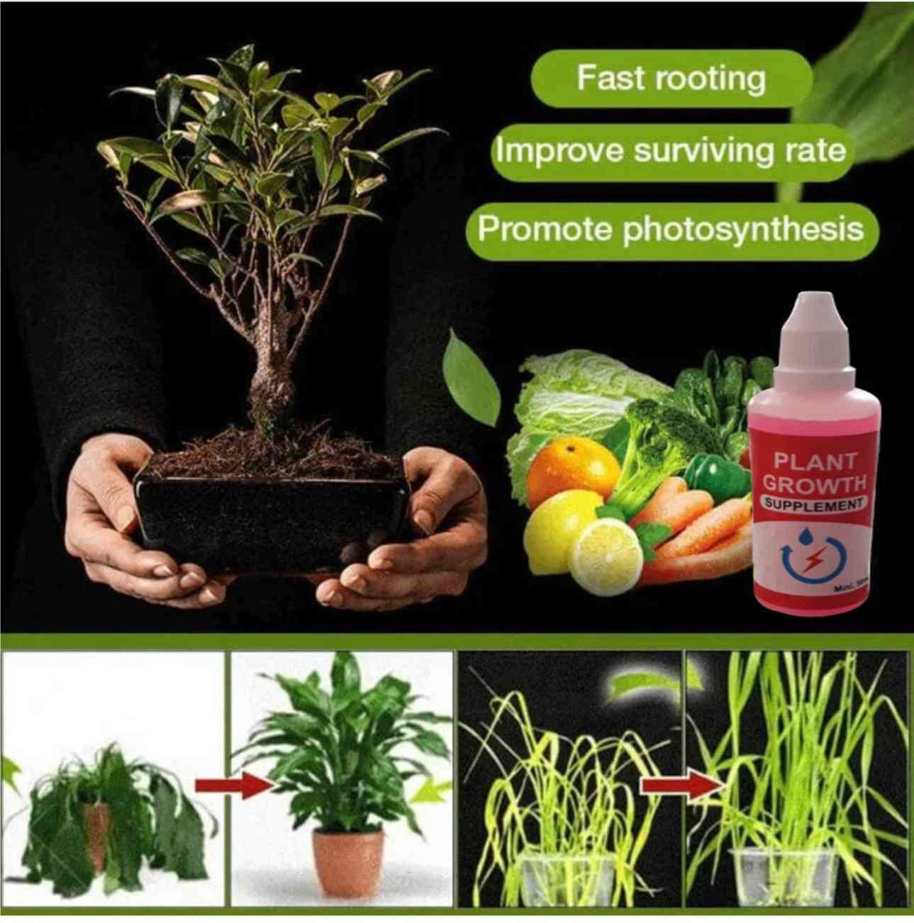 Plant Growth Supplement  {BUY 1 GET 1 FREE} 🔥